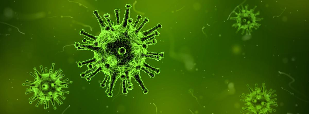 Capsula del tempo corona virus