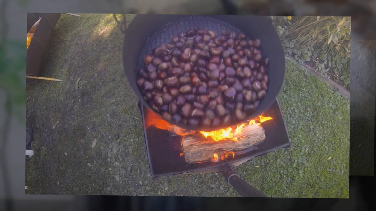 Sagra della castagna 2016 a Vacallo